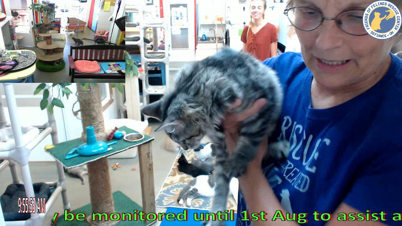 cage free vs organic eggs FFRC Adoption of Zoie 7/14/2018