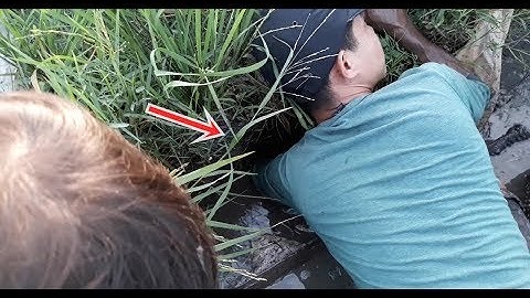 Catching perch and snakehead fish in caves is really unexpected! | fishing in Vietnam countryside