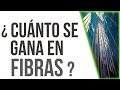 ¿Cuánto se gana en FIBRAS? ¿Cada cuánto pagan? ¿Es buena inversión?