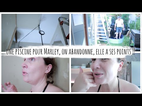 vlog du 19 juillet : une piscine pour Marley, on abandonne, elle a ses points !!
