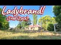 S1  ep 461  ladybrand free state