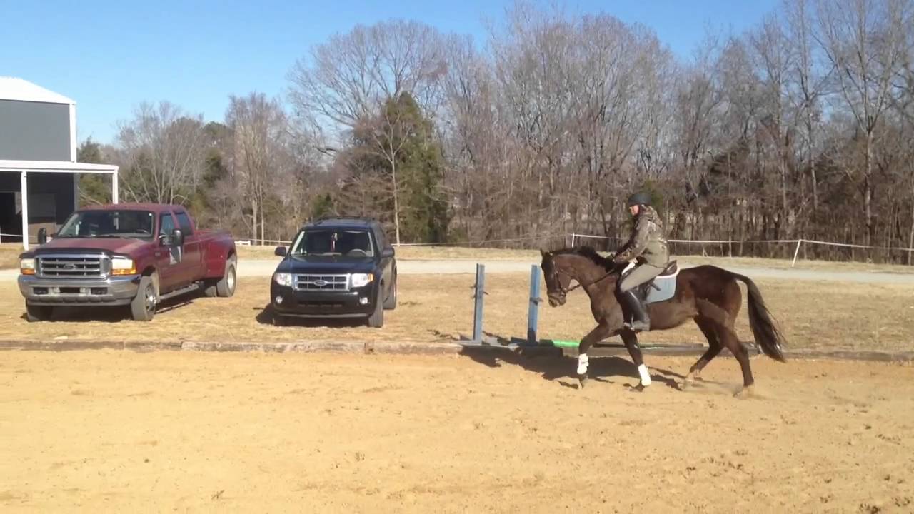 Second Chance Thoroughbreds - Air on the Judy - YouTube