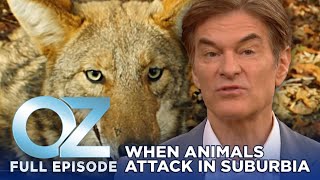 When Animals Attack in Suburbia | Dr. Oz | S11 | Ep 175 | Full Episode