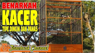 perbedaan kacer tipe dingin dan panas