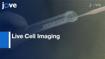 Evaluation:Cancer Stem Cell Migration By Compartmentalizing Microfluidic Devices l Protocol Preview