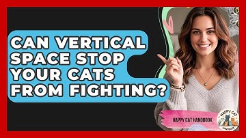 Can Vertical Space Stop Your Cats From Fighting? - Happy Cat Handbook
