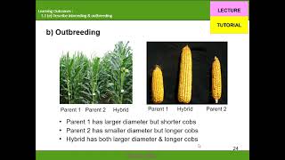 Topic 3 Selection Speciation