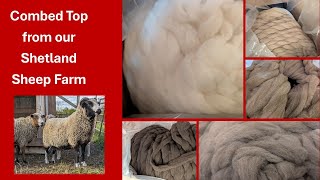 Combed Top From our Soft Shetland Sheep screenshot 3