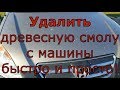 Удалить древесную смолу с машины просто! / how to remove tar from your car