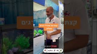 קצת על מגדלי דגים בעולם… 08-9957774