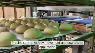 Robotray® OVERHEAD EGG WASH APPLICATOR
