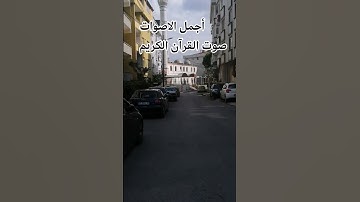 القارئ اسلام_صبحي تلاوه خاشعة بصوت جميل اللهم اجعل القرآن ربيع قلوبنا ونور صدورنا #😍ر#راحة_نفسية