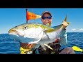 Kayak Fishing: BIG Yellowtail Kingfish Offshore -- New Zealand Ep 8 | Field Trips with Robert Field