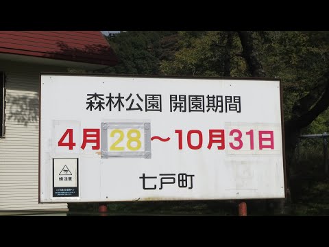 七戸町森林公園キャンプ場 2022/10 ソロキャンプ -Yaei Bito-