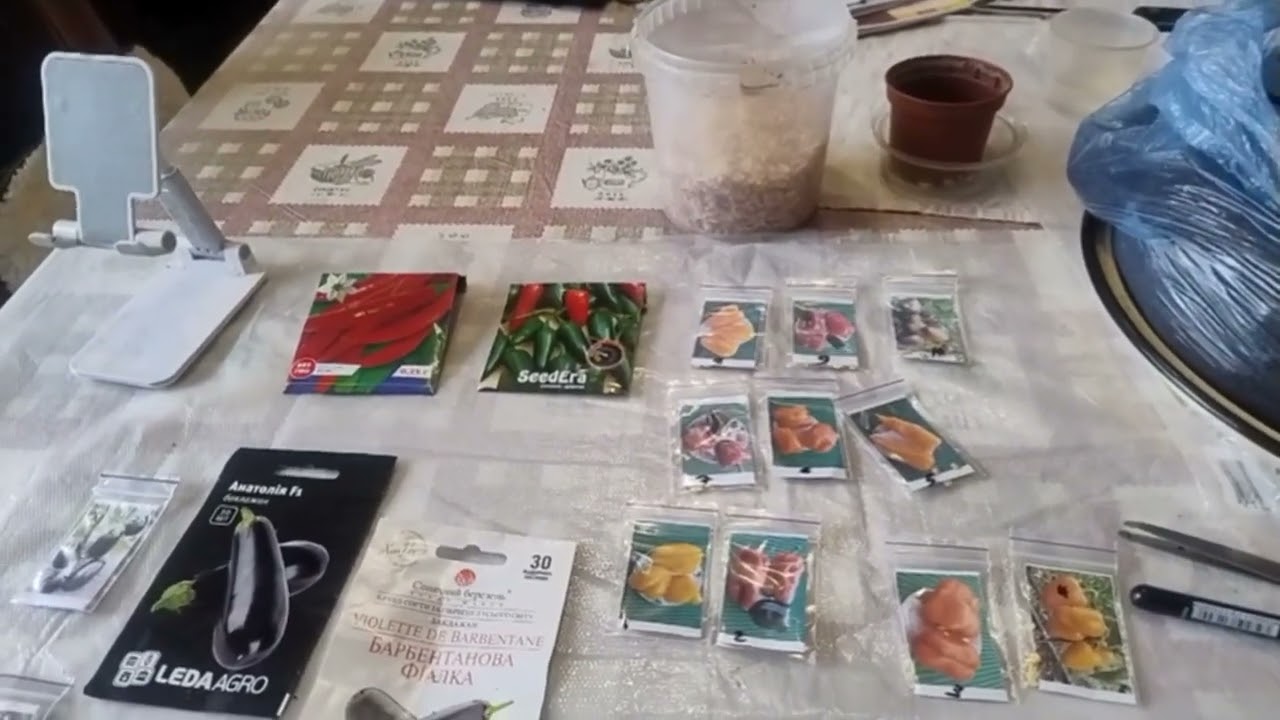 Сею перцы и баклажаны 2 03 26