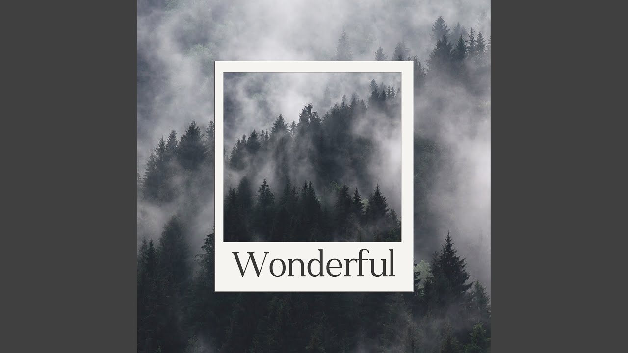 Captain Long Dragonfly