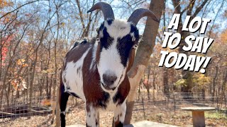 Download Lagu Earl’s Not Holding Back Today! MP3