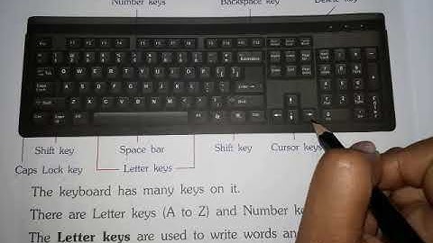 Std 2 Computer/Ch-3 Parts Of A Computer/Explanation