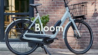Gazelle Bloom C380 Hms Dame Black - 2025