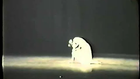 Don Quixote  Suzanne Farrell solo and Finale w/ Gl...