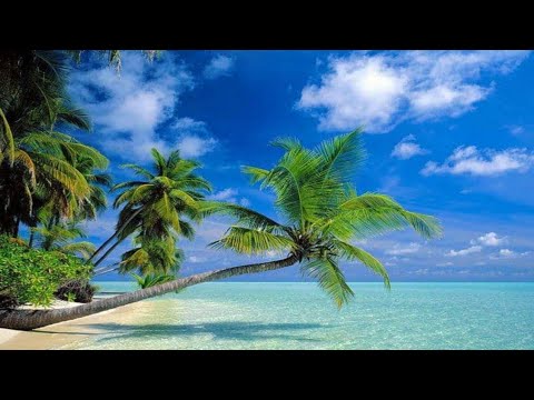 DA COCONUT NUT (the coconut nut song) - YouTube