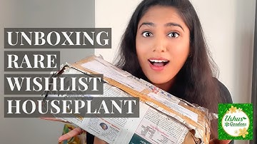 Unboxing RARE Wishlist Houseplant From A Facebook Seller! | Plant Haul + Review