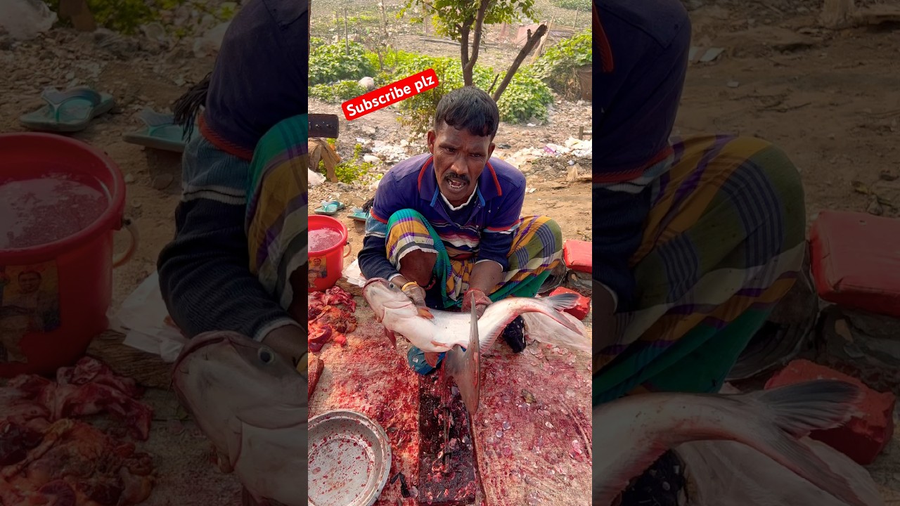 Porimol village original Pangas fish cutting skills ✅😱✅ 