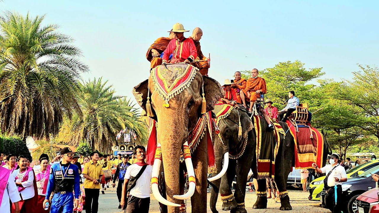 (4k)#ช้างไทย #ขบวนช้าง12เชือกแห่บุญผะเหวด#วัดเกษมทรัพย์พัฒนาราม#ร้อยเอ็ด