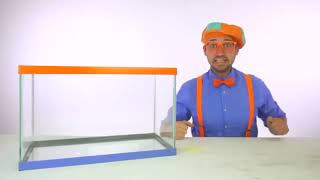YTP Collab Entry Blippi Gets Messed With Amatuer BBC Effects Zimag Reupload