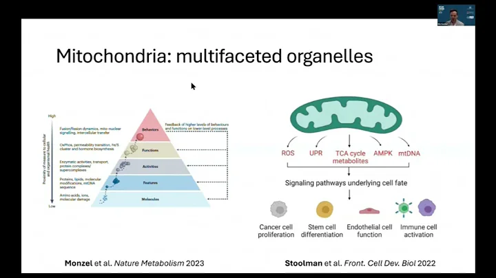 Rare Disease Day 2025 -MIHRA Spotlight on Mitochondria: Mitochondria Targeted Therapeutics Dr Naddaf