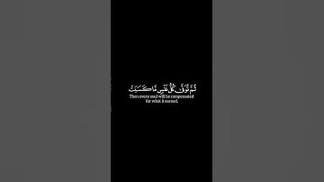 ﴿ واتقوا يوما ترجعون فيه إلى الله ﴾ - الآية ٢٨١ - سورة البقرة - ياسر الدوسري - شاشة سوداء