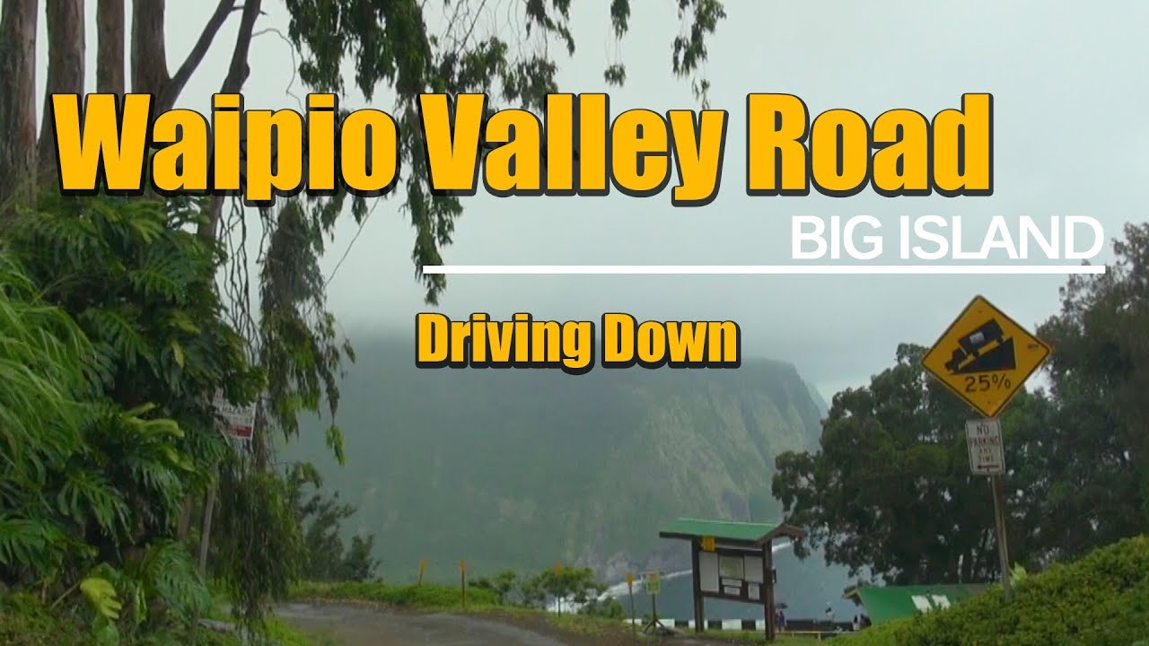 Waipio Valley Road Driving Down Big Island, Hawaii YouTube