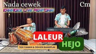 Laleur hejo karaoke (Azmy.Z) nada cewek Cm