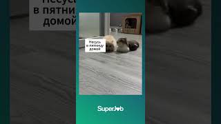 Типичный вечер пятницы