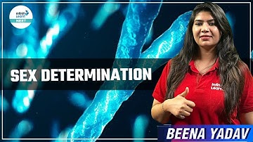 Sex Determination || Principle of Inheritance & Variations || #NEET2024 || Infinity Learn NEET