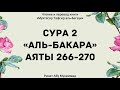 95. Тафсир суры 2 "Аль-Бакара", аяты 266-270 || Ринат Абу Мухаммад