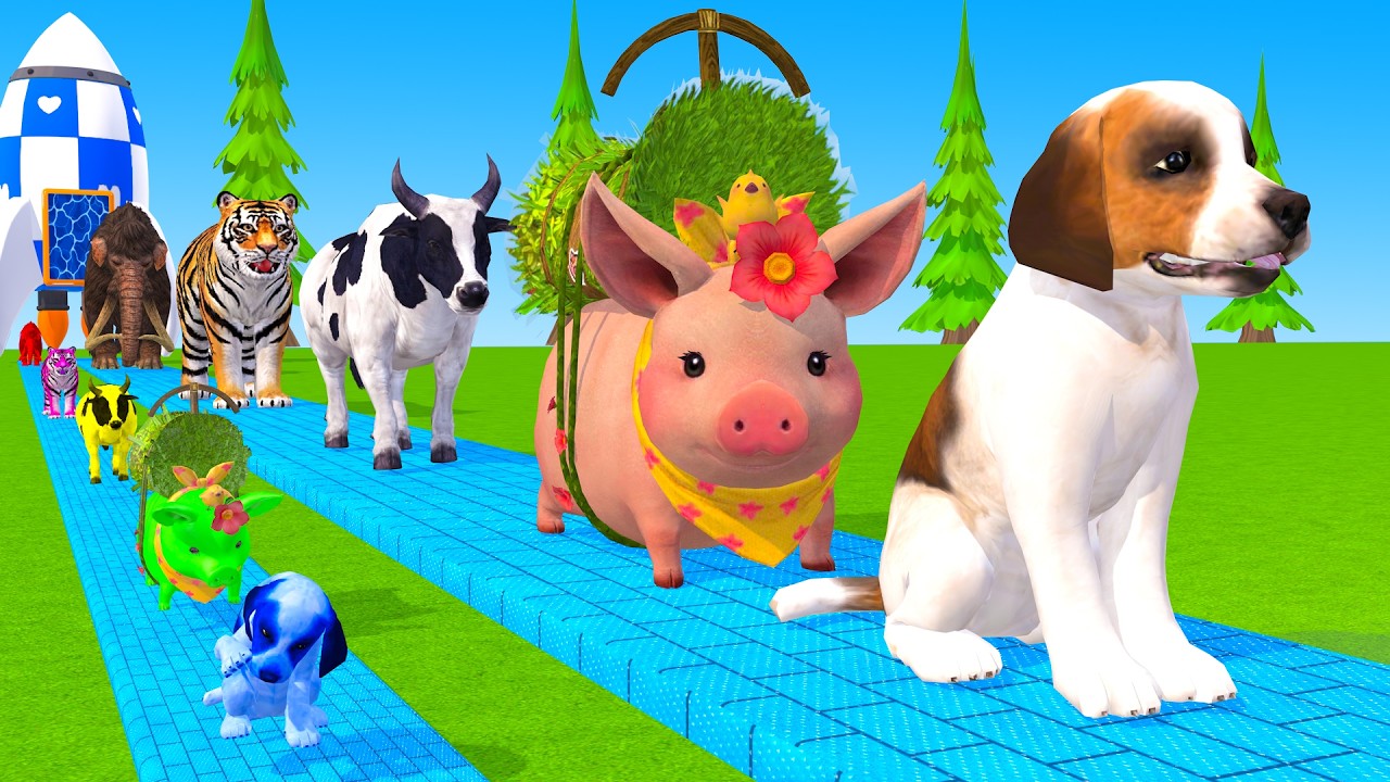 Long Slide Game With Cow Elephant Gorilla Hippopotamus Tiger 3d Animal Game Funny 3d Animals