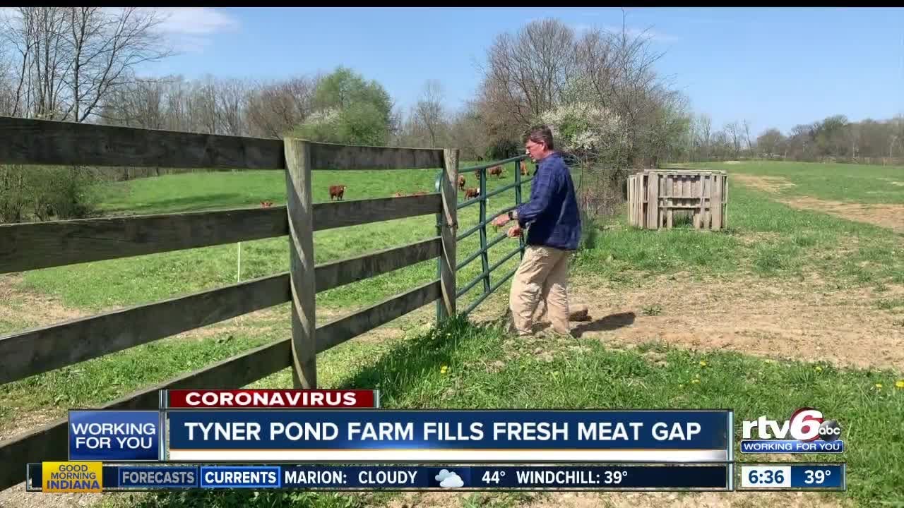 Tyner Pond Farm fills fresh meat gap