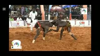 Kokowa Aibo Hassan Vs zakiru zakari