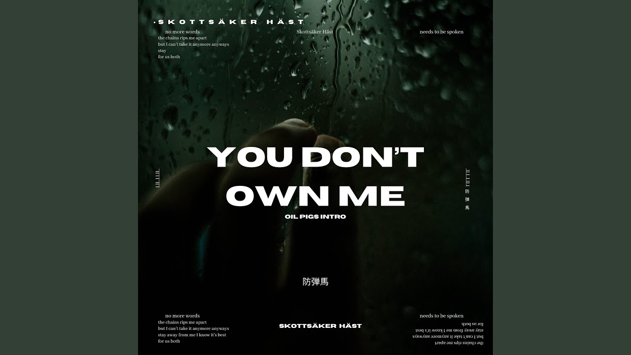 Obejrzyj You Don't Own Me w YouTube