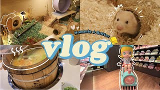 vlog | Setting up hamster enclosure ✨ MiX Store MidValley Megamall  艾特1米笼造景, 香杉木桶鱼, 逛米克斯