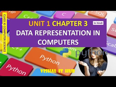 (Chapter-3) Data Representation | Class 11 | Vishal IT Hub - YouTube