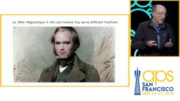 Lynn Nadel on Making and Remaking Memory