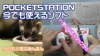 【購入紹介】今でも使えるポケットステーションで遊べるソフトを紹介！毒舌生命体登場！