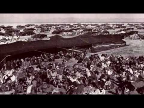 فيديو قصة الرويلي و المطيري محمد الحميداني