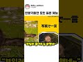 가버린 당나귀 짤 #ippon