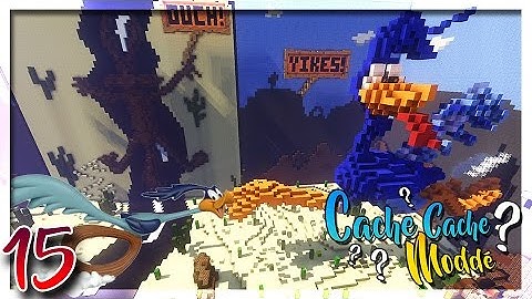 CACHE CACHE MINECRAFT MODDÉ ! MAP BIP BIP #15