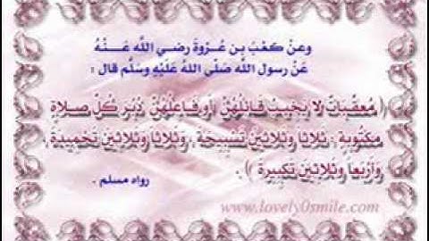 خالد القحطاني - سورة القلم