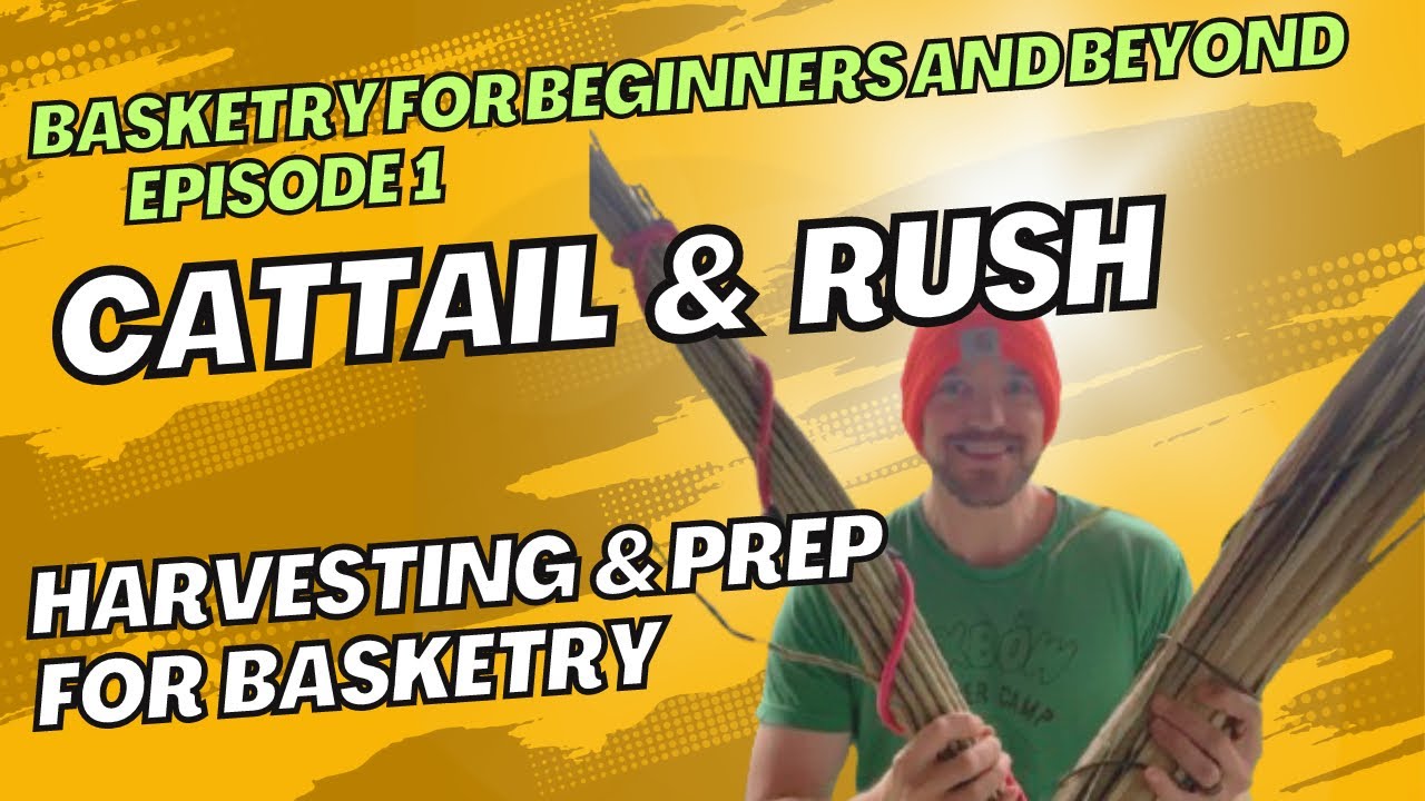 From Plant to Basket: Harvesting Cattail and Rush for Weaving