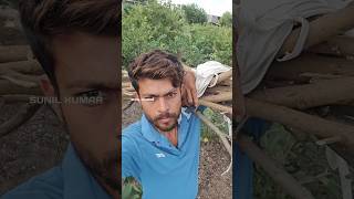 જમફળમ ટક મરવ..